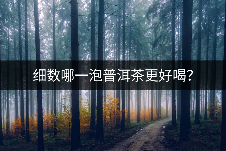 細(xì)數(shù)哪一泡普洱茶更好喝？