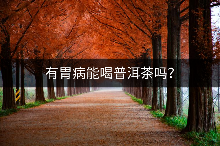 有胃病能喝普洱茶嗎？