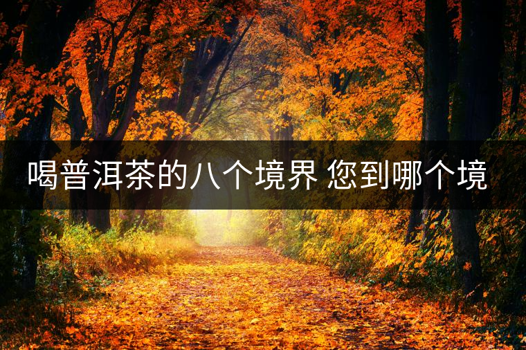 喝普洱茶的八個境界 您到哪個境界了？