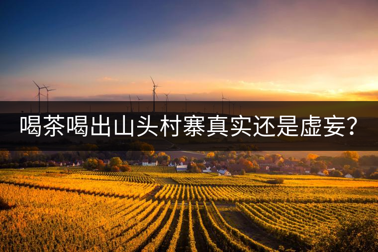 喝茶喝出山頭村寨真實(shí)還是虛妄？