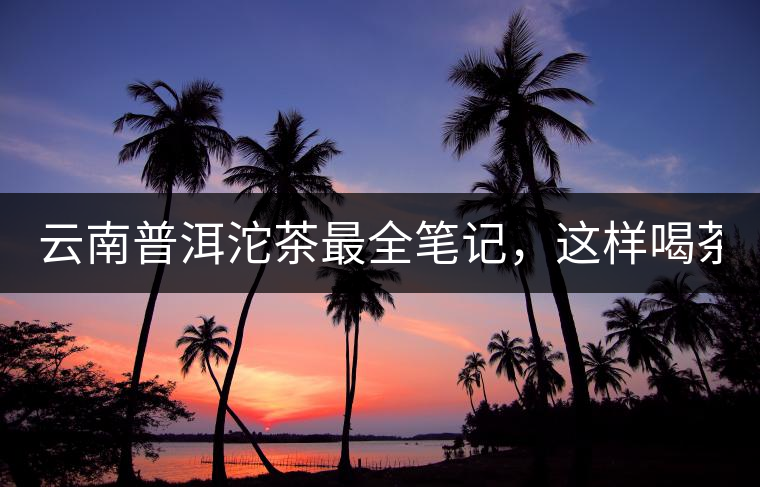云南普洱沱茶最全筆記，這樣喝茶才更健康！