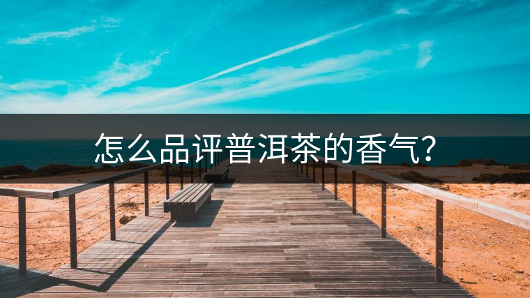 怎么品評普洱茶的香氣？