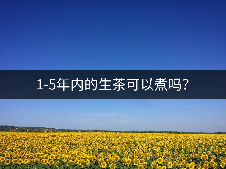 1-5年內(nèi)的生茶可以煮嗎？