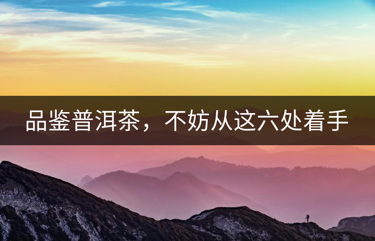 品鑒普洱茶，不妨從這六處著手