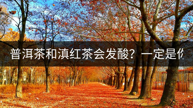 普洱茶和滇紅茶會發(fā)酸？一定是你這么做了！