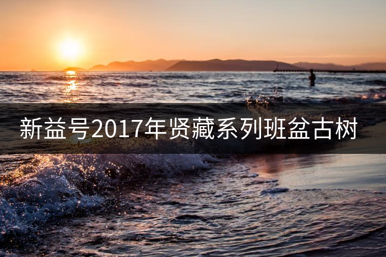 新益號(hào)2017年賢藏系列班盆古樹(shù)開(kāi)湯 新益號(hào)2017年賢藏系列班盆古樹(shù)開(kāi)湯