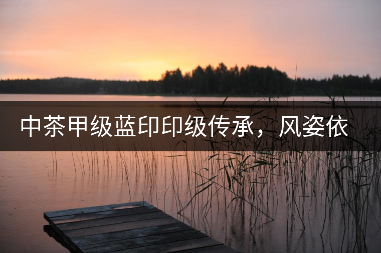 中茶甲級藍(lán)印印級傳承，風(fēng)姿依舊