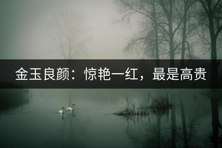 金玉良顏：驚艷一紅，最是高貴