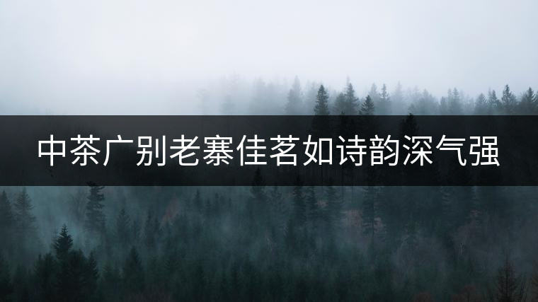 中茶廣別老寨佳茗如詩(shī)韻深氣強(qiáng)