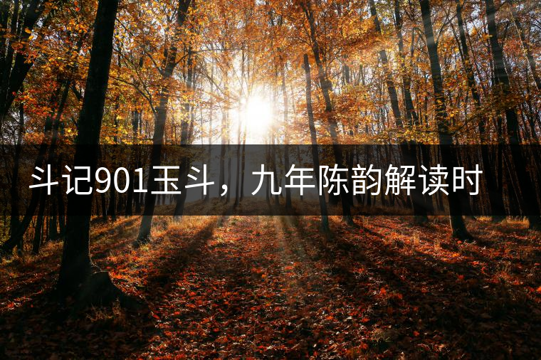 斗記901玉斗，九年陳韻解讀時(shí)間之味