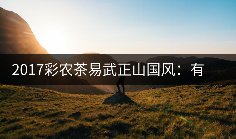 2017彩農(nóng)茶易武正山國風(fēng)：有茶韻，亦有國風(fēng)