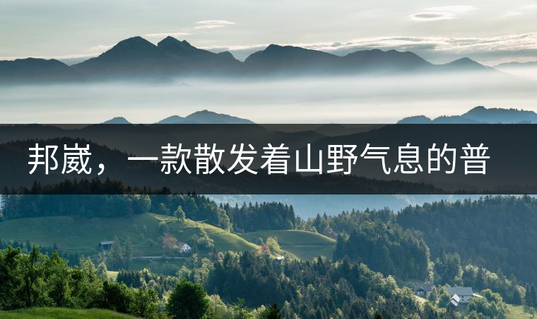 邦崴，一款散發(fā)著山野氣息的普洱