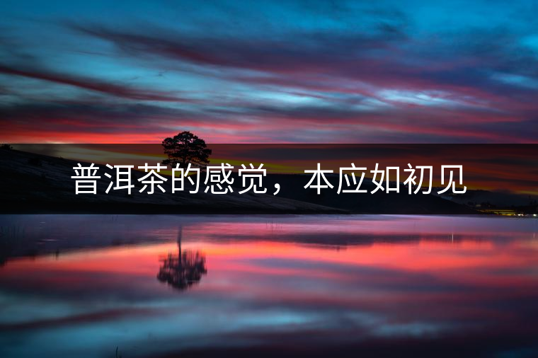 普洱茶的感覺，本應(yīng)如初見