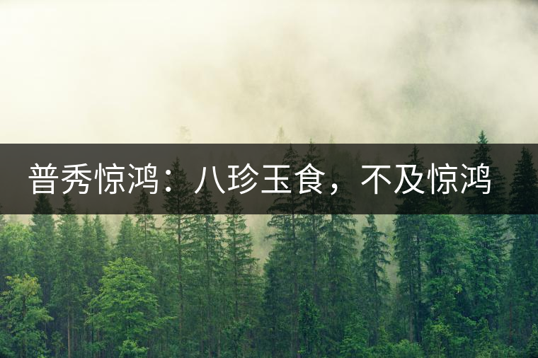 普秀驚鴻：八珍玉食，不及驚鴻一湯