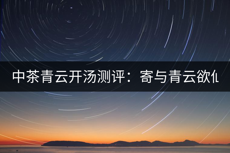 中茶青云開湯測評:寄與青云欲仙客 一甌相映兩無塵 中茶青云開湯測評:寄與青云欲仙客 一甌相映兩無塵