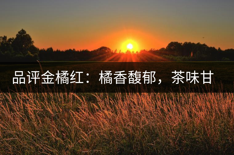 品評金橘紅：橘香馥郁，茶味甘醇，匠心拼配，臻于至善