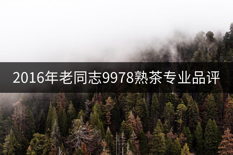 2016年老同志9978熟茶專(zhuān)業(yè)品評(píng) 2016年老同志9978熟茶專(zhuān)業(yè)品評(píng)