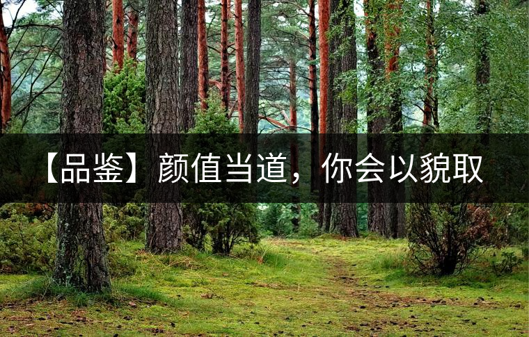 【品鑒】顏值當(dāng)?shù)?，你?huì)以貌取茶嗎？