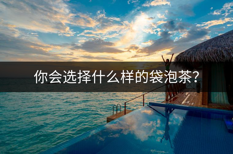 你會選擇什么樣的袋泡茶？