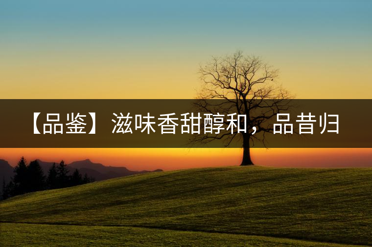 【品鑒】滋味香甜醇和，品昔歸古樹黃片