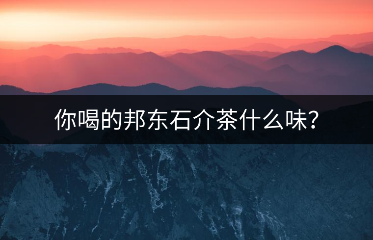 你喝的邦東石介茶什么味？