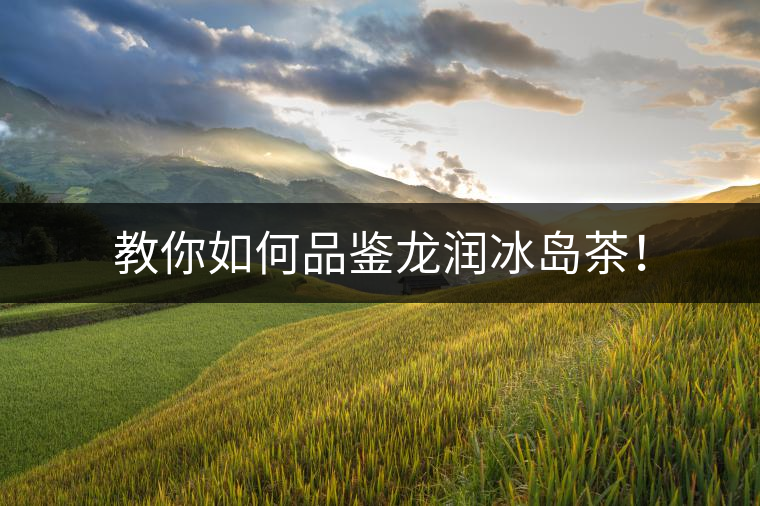 教你如何品鑒龍潤冰島茶！