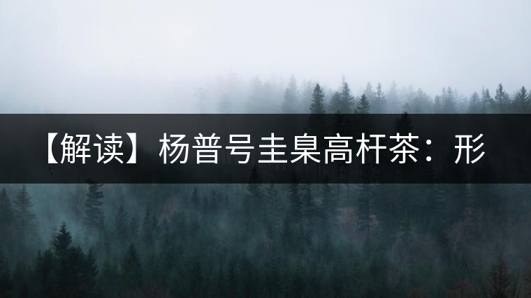 【解讀】楊普號圭臬高桿茶：形高、氣足、韻遠(yuǎn)的一款茶