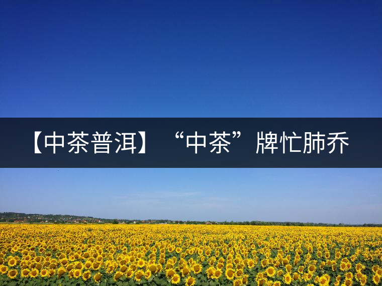 【中茶普洱】“中茶”牌忙肺喬木圓茶品評 【中茶普洱】“中茶”牌忙肺喬木圓茶品評