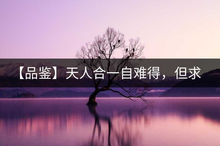 【品鑒】天人合一自難得，但求得茶之本味