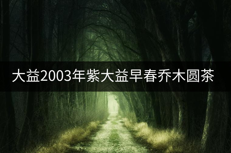 大益2003年紫大益早春喬木圓茶普餅(400g)開湯 大益2003年紫大益早春喬木圓茶普餅(400g)開湯