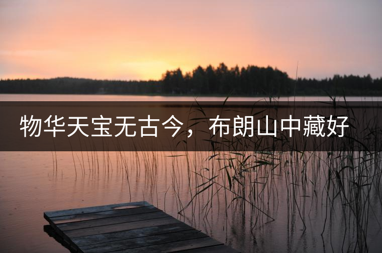 物華天寶無古今，布朗山中藏好茶