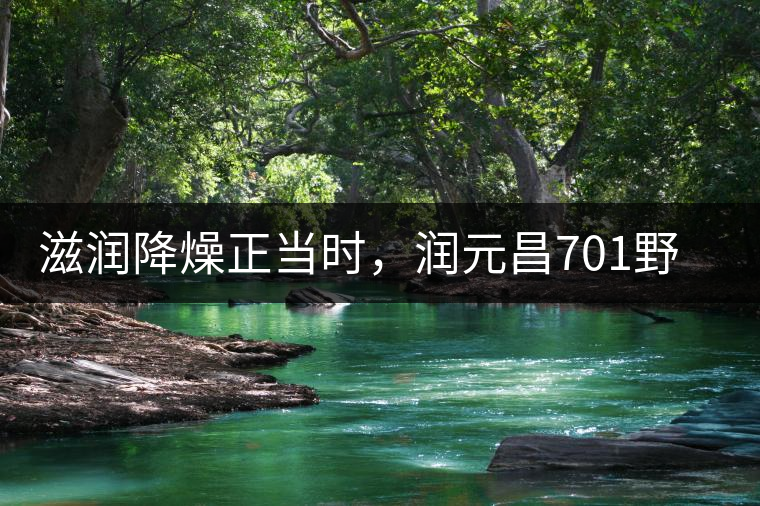 滋潤降燥正當(dāng)時(shí)，潤元昌701野生古樹紅茶驚鴻再現(xiàn)