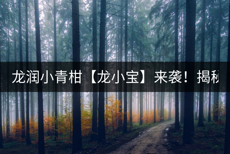 龍潤小青柑【龍小寶】來襲！揭秘它的前半生！