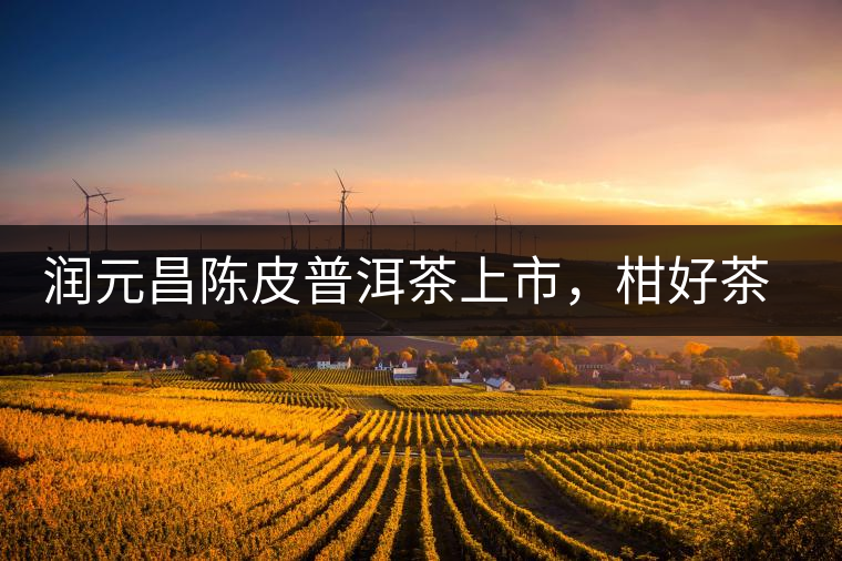 潤(rùn)元昌陳皮普洱茶上市，柑好茶更好，精品普洱茶