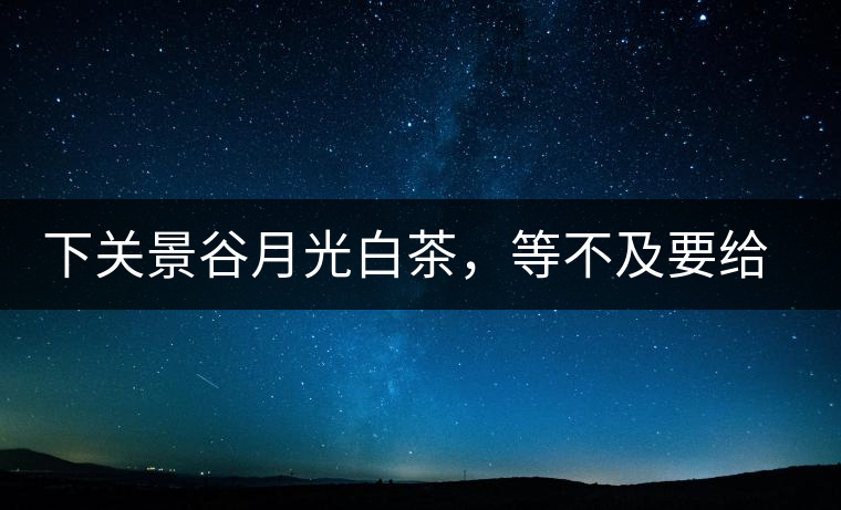 下關(guān)景谷月光白茶，等不及要給你的思念
