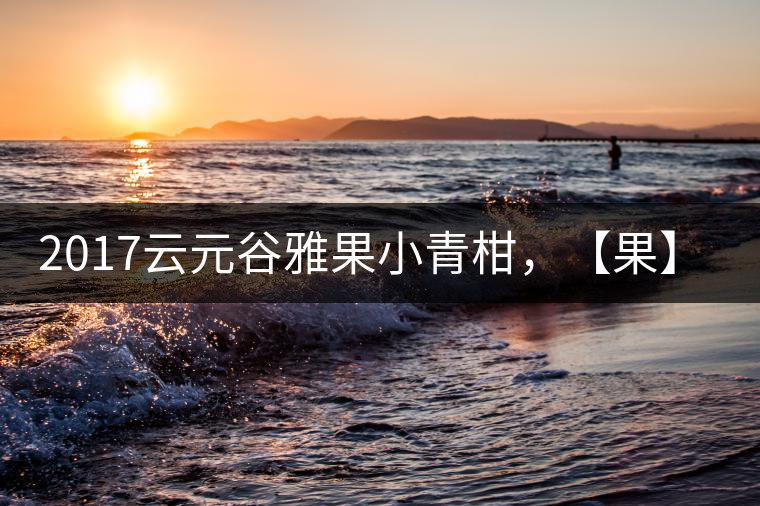 2017云元谷雅果小青柑，【果】真來了