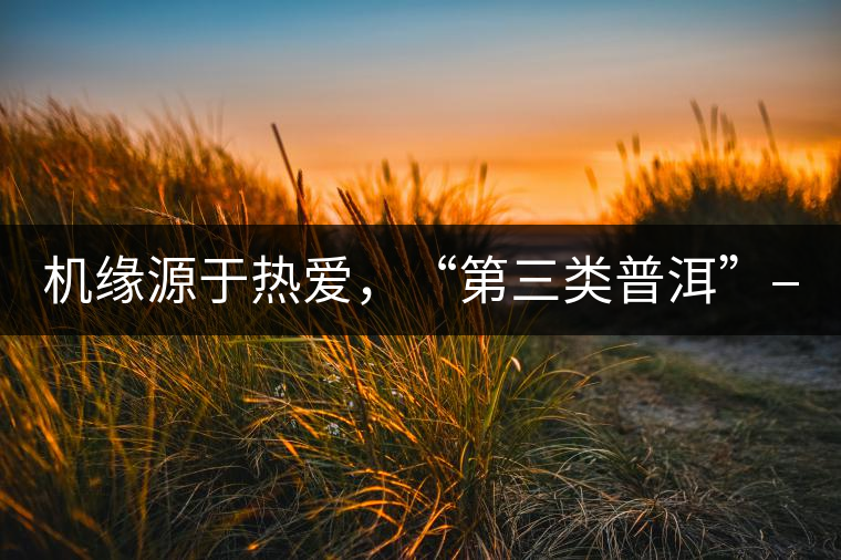 機緣源于熱愛，“第三類普洱”——“散壓茶TM”的誕生。