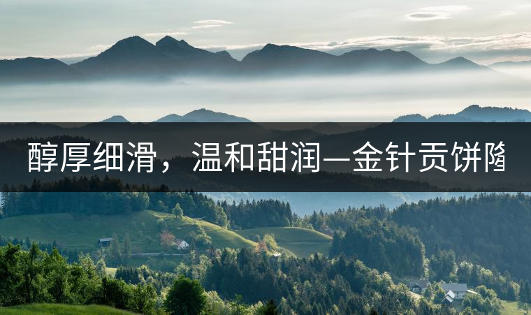 醇厚細滑，溫和甜潤—金針貢餅隆重上市！