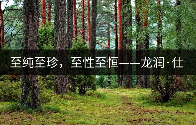 至純至珍，至性至恒——龍潤(rùn)·仕通茶新上市！