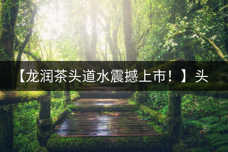 【龍潤茶頭道水震撼上市！】頭道水，二道茶，三道四道是精華！