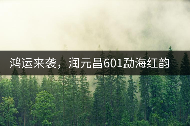 鴻運(yùn)來(lái)襲，潤(rùn)元昌601勐海紅韻熟茶即將上市
