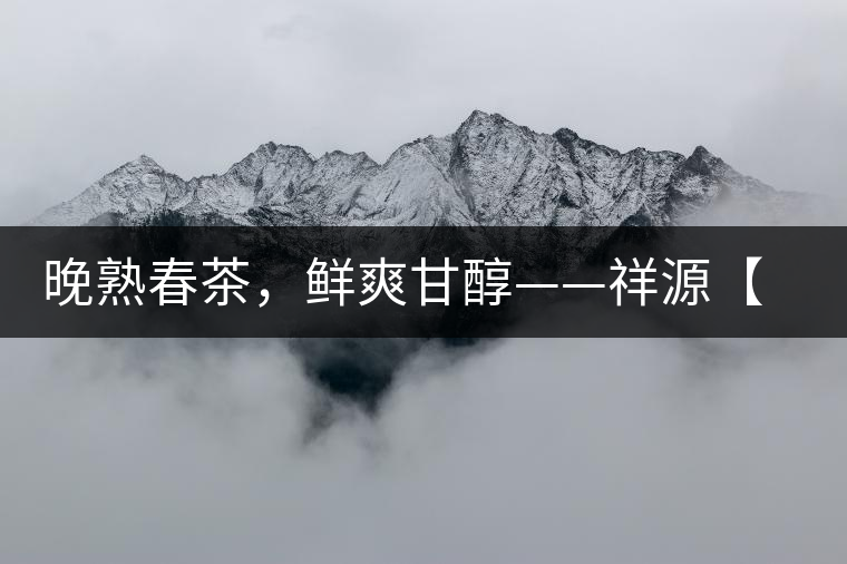 晚熟春茶，鮮爽甘醇——祥源【政和大白】清鮮上市