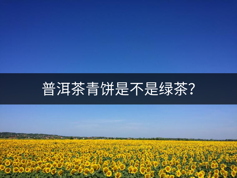 普洱茶青餅是不是綠茶？