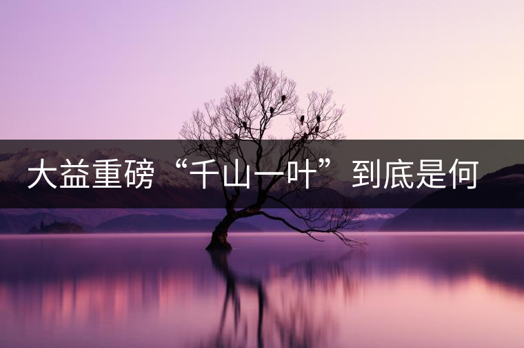 大益重磅“千山一葉”到底是何方神圣？