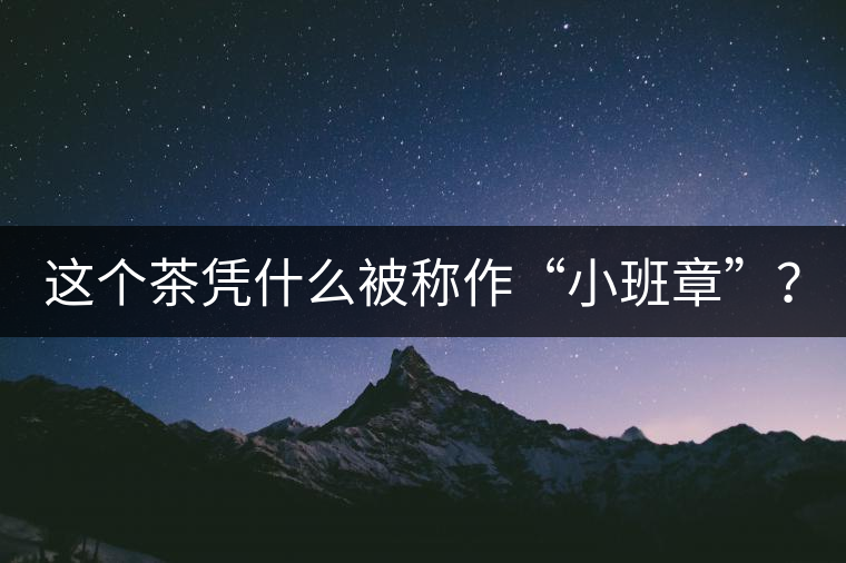 這個茶憑什么被稱作“小班章”? 這個茶憑什么被稱作“小班章”?