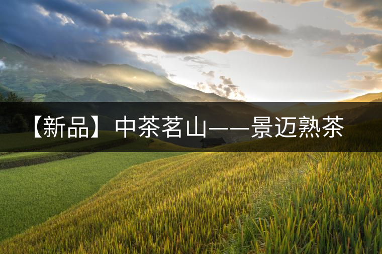 【新品】中茶茗山——景邁熟茶即將上市 【新品】中茶茗山——景邁熟茶即將上市