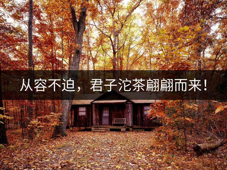 從容不迫，君子沱茶翩翩而來！