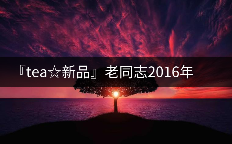『tea☆新品』老同志2016年琥珀醇熟茶 『tea☆新品』老同志2016年琥珀醇熟茶