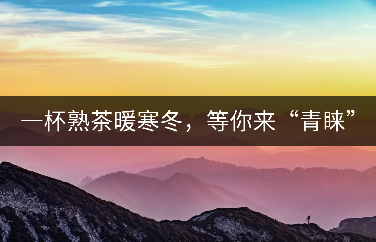 一杯熟茶暖寒冬，等你來(lái)“青睞”