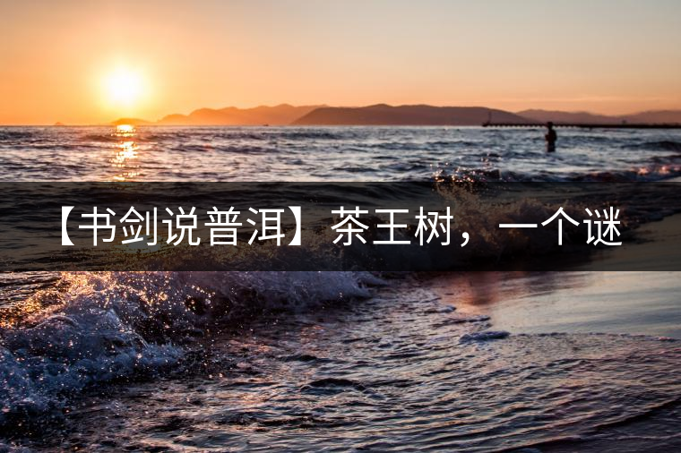 【書劍說普洱】茶王樹，一個(gè)謎一樣的地方